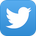 Twitter App Icon